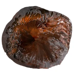 Terre Savana Sculpture