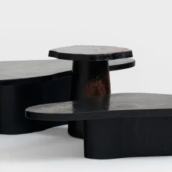 Tessella Fbeta Black Wood Coffee Table