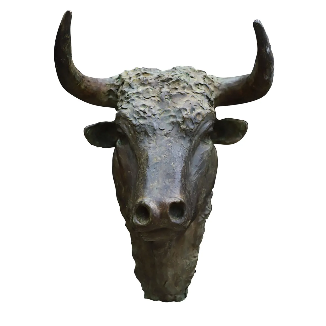 Testa di Toro Bronze Sculpture
