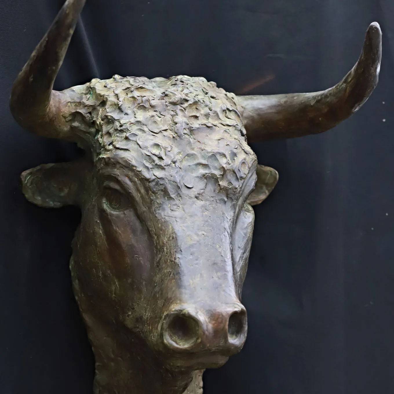 Testa di Toro Bronze Sculpture