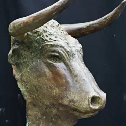Testa di Toro Bronze Sculpture