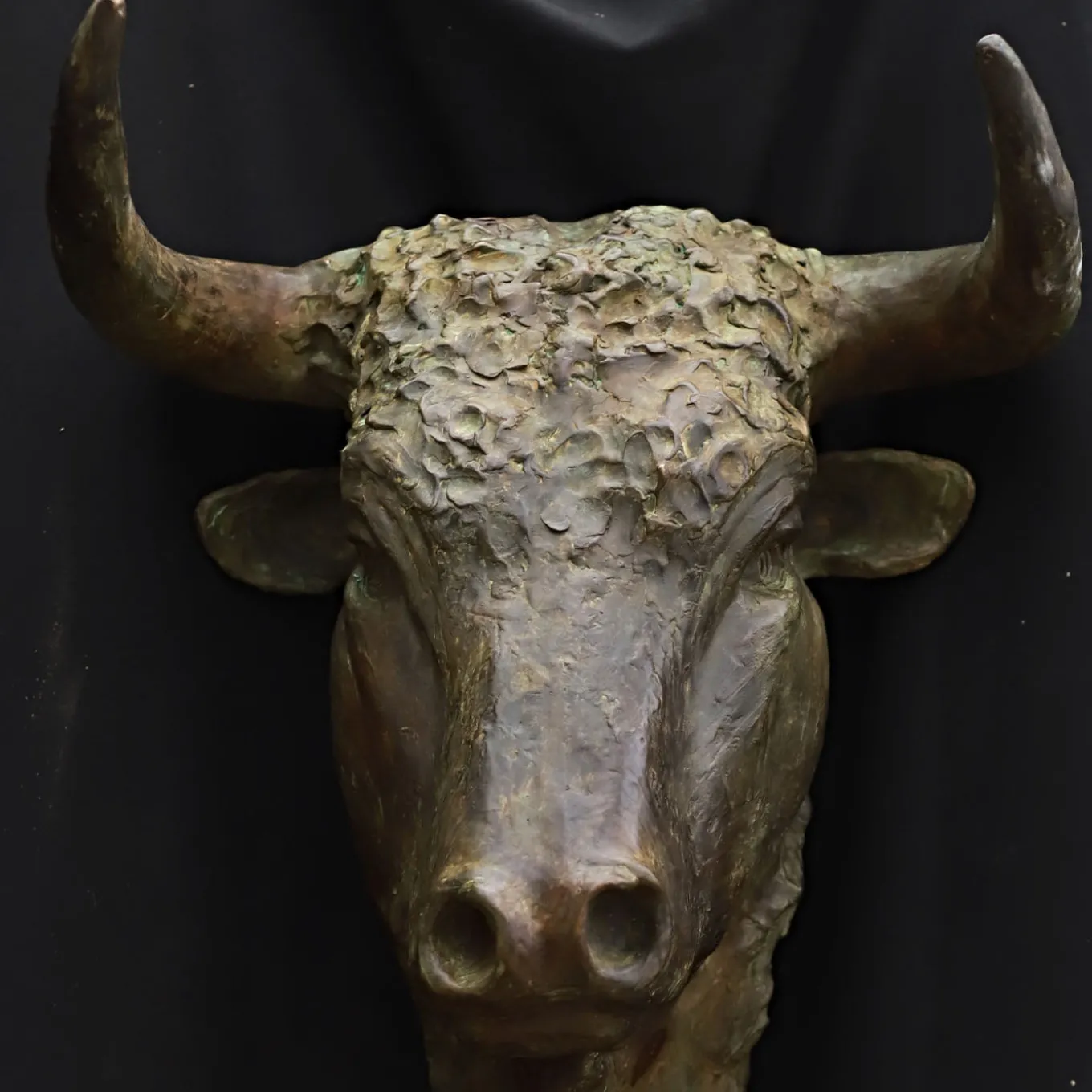 Testa di Toro Bronze Sculpture