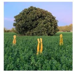 That Time I Went Out Photograph