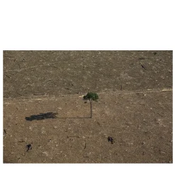 The Amazon Rainforest #3 Photography