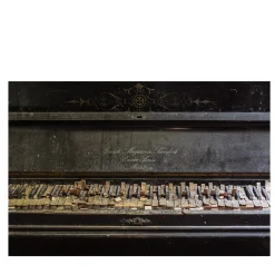 The Great Beauty - Il Grembo Del Suono - Photographic Print