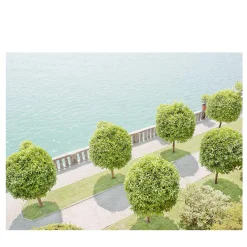 The Green Hour #SIM_ISB_007103 Photograph