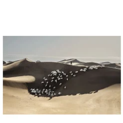 The Origin of a Secret Fine Art Print #1