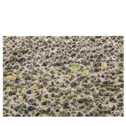 The Origin of a Secret Fine Art Print #4