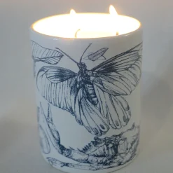 Three-Wick Ad Astra Candle