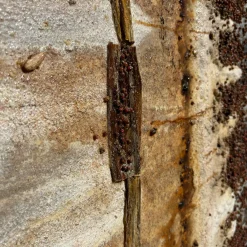 Threshold of Darkness Abstract Painting