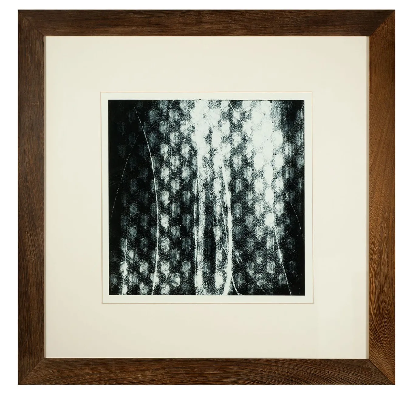 Trame Svelate Print #1