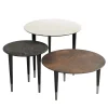 Trendy Set of 3 Nesting Tables