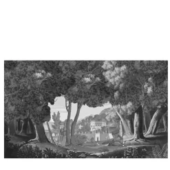 Trompe l'Oeil B Panorama Wallpaper