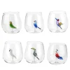 Tropical Birds Set of 6 Glasses