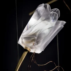 Tulip 14 Round Suspension by Marc Sadler