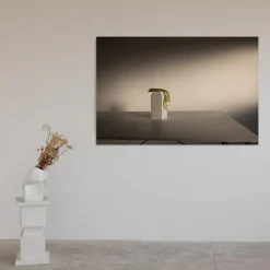 Tulips in Brenta Limited Edition Photograph