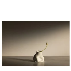 Tulips in Fara Limited Edition Photograph