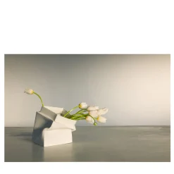 Tulips in Marostica Limited Edition Photograph