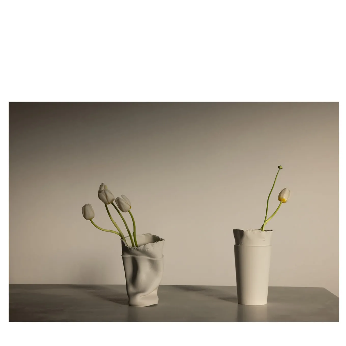 Tulips in Vicenza Limited Edition Photograph