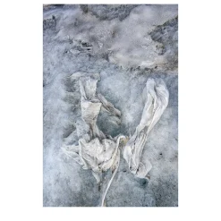 Ultimate Landscapes 10/10 Photograph