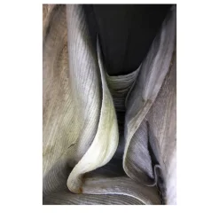 Ultimate Landscapes 3/17 Photograph