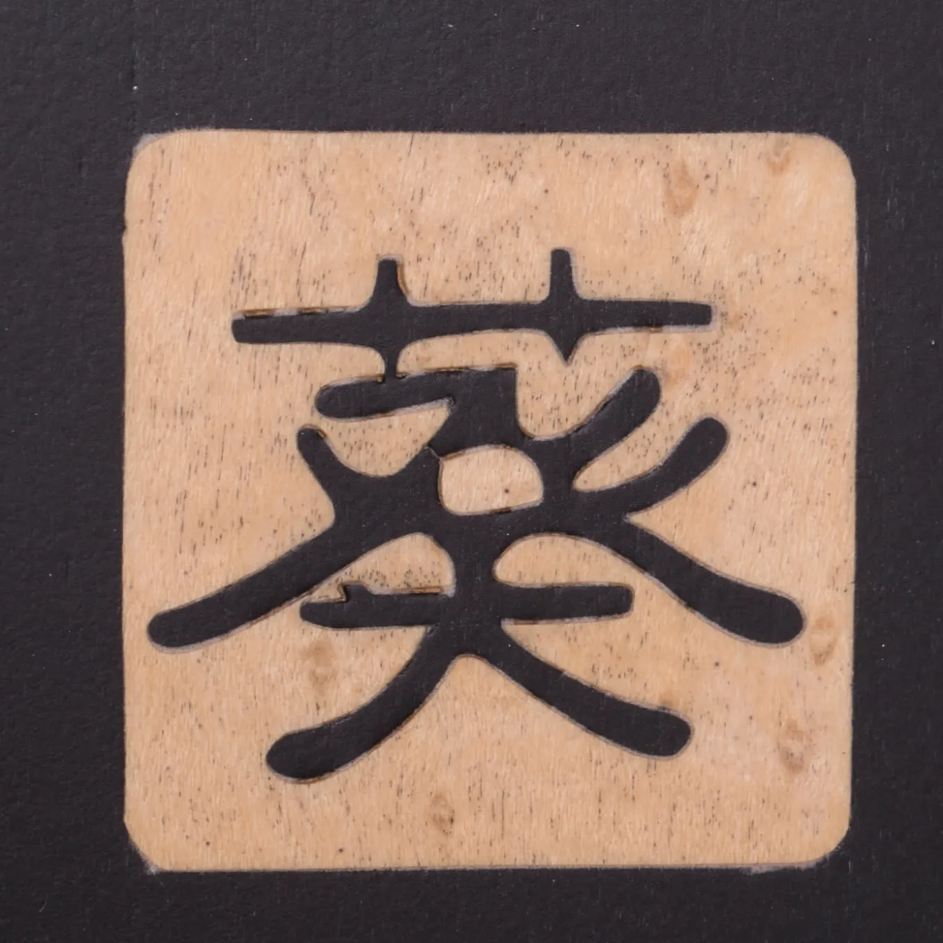 Unique Colorful Wood Steel 2 Door Sideboard Shelves