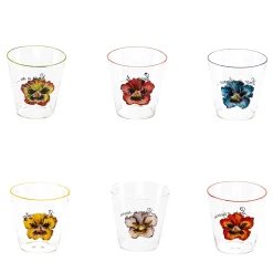 Va Pensiero Set of 6 Hand Painted glasses