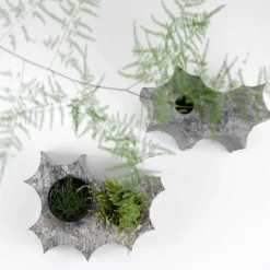 Variazioni Vaseholder Gray