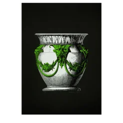 Vaso Verde Print