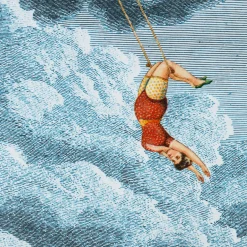 Velvet plaid with Acrobat and ceiling