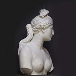 Venere Capitolina Bust