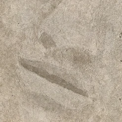 Venus Emerges Beige Textured Resin Painting