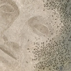 Venus Emerges Beige Textured Resin Painting