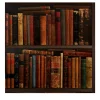 Vintage Library Wallpaper