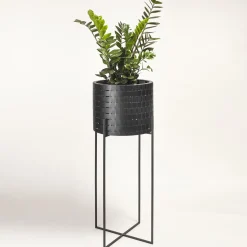 Vitis Nexum Tall Black Abatellis Cachepot