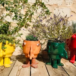 Walking Head Medium Terracotta Flower Pot