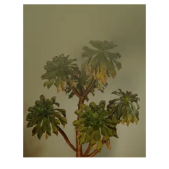 Where the Light Falls Before I Leave #3 Photograph