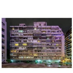 Whispering Stars Photographic Print