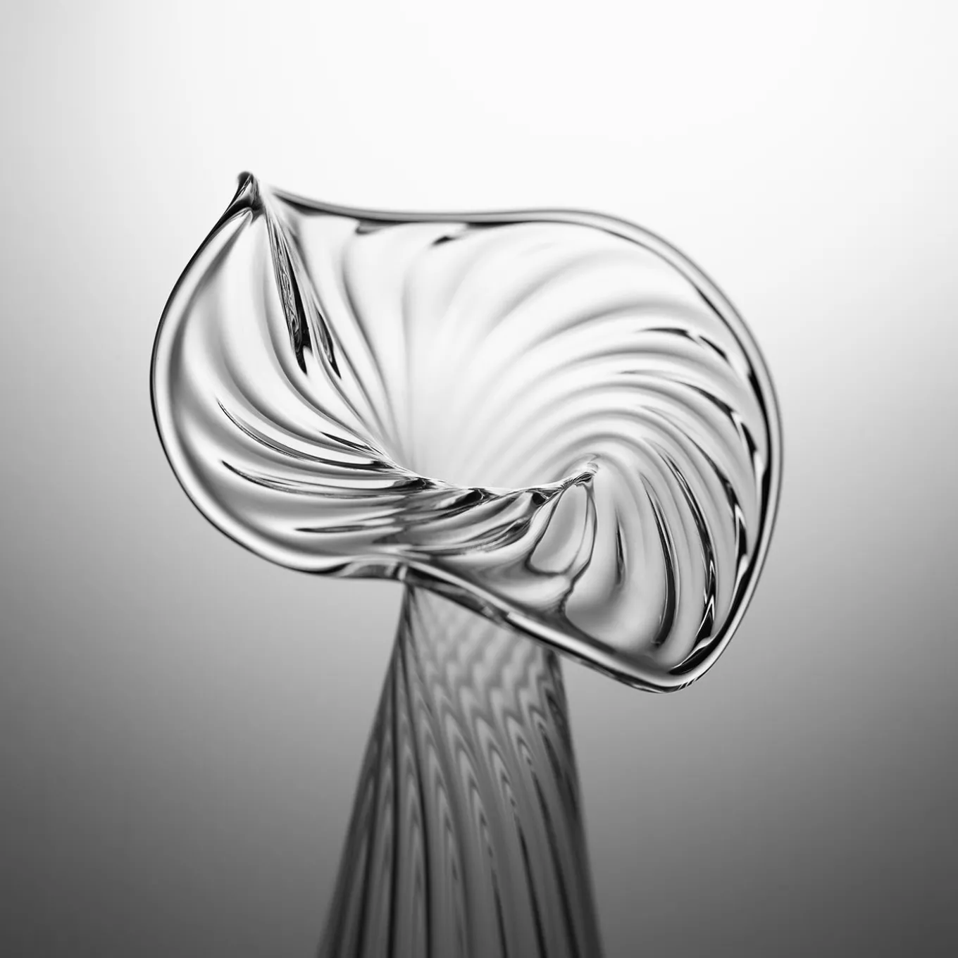 XSmall Millerighe Soliflore Clear Glass Vase