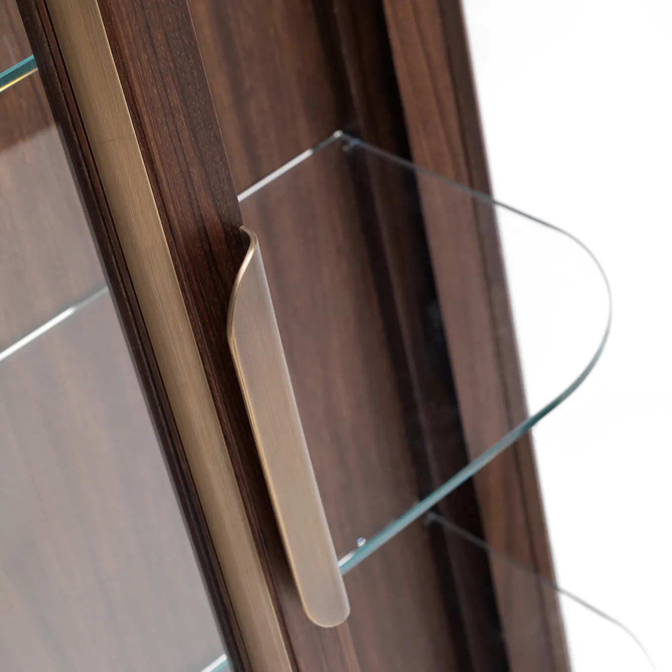 Zebra and Brass 2-Door Display Cabinet